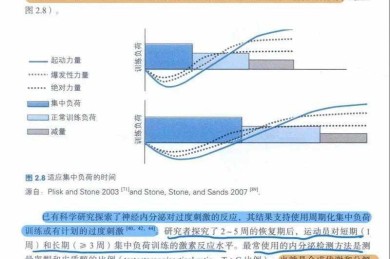 从反复重写到精准迭代：论文修改的认知负荷理论解析