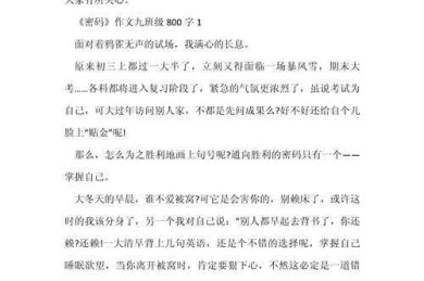 揭秘800字现象：如何看待网红议论文800的传播密码与写作陷阱