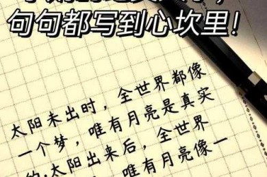 当文字遇见灵魂：如何看待人生感言议论文的深层价值与写作密码