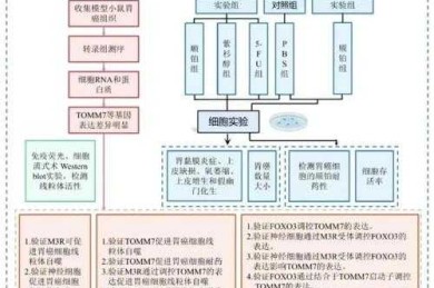 绿色经济论文建模指南：从理论框架到结果解释的七步实战拆解