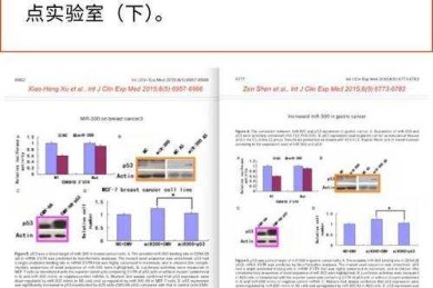 重磅调查！发表论文什么位次竟决定你的学术生命线？