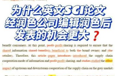 从新手到专家：怎么润色英语论文页面的实战指南