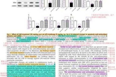 解密论文中的JDM：从学术黑话到研究实战指南