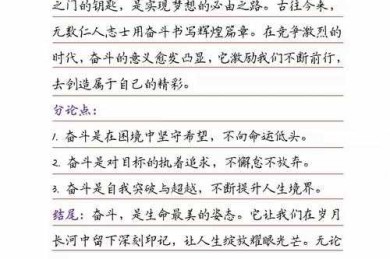 从学术到实战：如何写好议论文开头的科学拆解