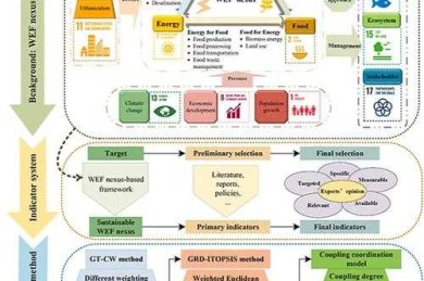 拆解学术论文的DNA：从菜鸟到高手的结构全攻略