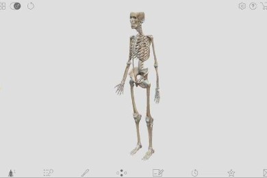 论文结构解剖课：从零搭建你的学术大厦