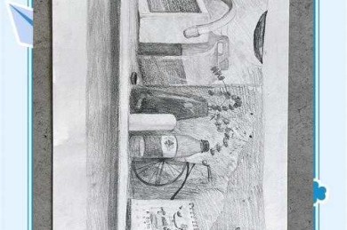 素描是什么论文：从学术视角解构一种独特的研究范式