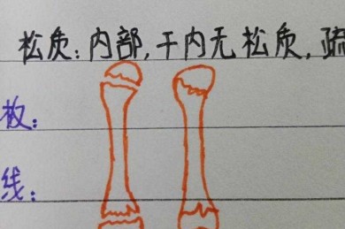 从零开始拆解：一篇合格论文的骨架到底长什么样？