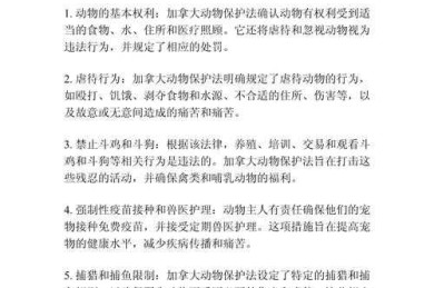 动物保护法如何写成论文