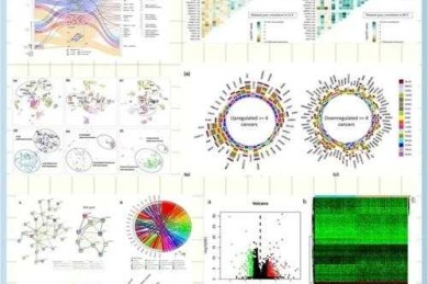 SCI论文待遇如何？科研人必看的深度分析与数据解读