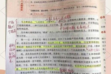 为什么议论文总让你头疼？揭秘学术写作的底层逻辑与实战技巧