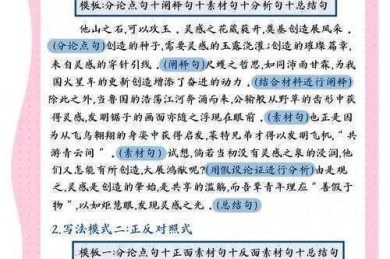 议论文写作解密：从考场求生到学术表达的底层逻辑