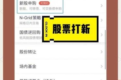 散户打新中签率提升之道：从理论到实战的系统化指南