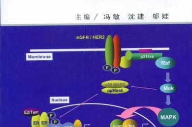 防癌抗癌论文实战指南：如何从临床研究到学术高影响力