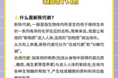 科学减重的多维视角：从代谢机制到行为干预的实证研究