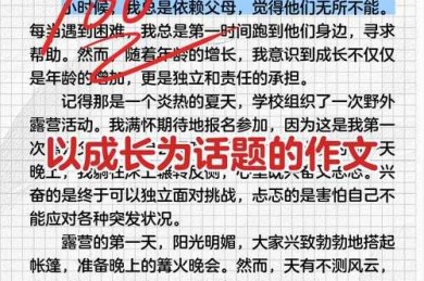成长的关键因素议论文：实践者的深度对话