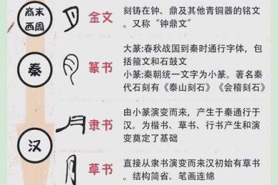从甲骨文到学术论文：汉字书写规范的千年演化与当代实践