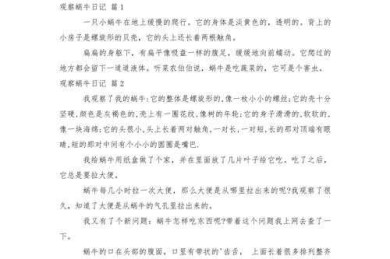 从观察到发表：中班蜗牛论文怎么写才能让导师眼前一亮？