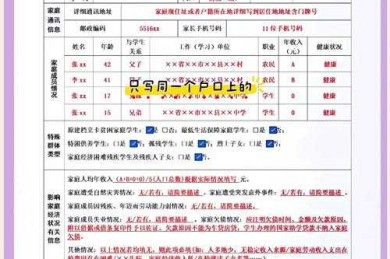 什么是论文认定