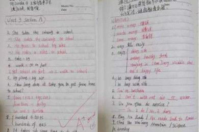 从零到一：高中英语论文怎么写才能让老师眼前一亮？