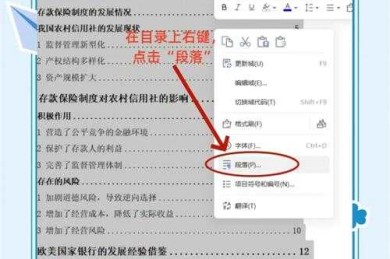 从混乱到规范：WPS论文目录页码设置的学术级操作指南