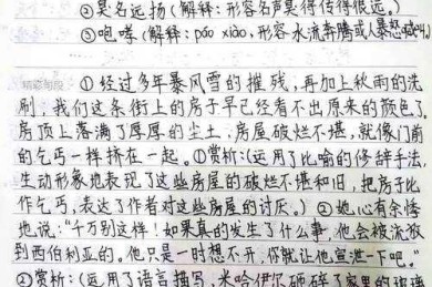 探索自我阅读动机：议论文写作的深层分析