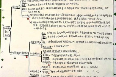 如何高效拆解高质量论文的基因密码？