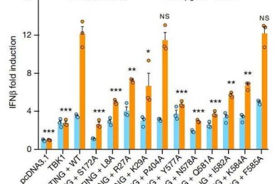如何做论文中的柱状图表