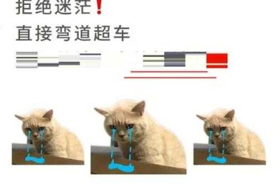 论文写作加速器：什么是论文集，学术菜鸟如何用它弯道超车？