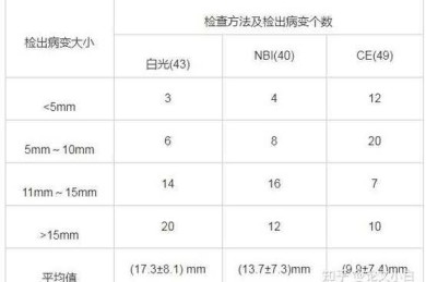 论文中平均年龄怎么算