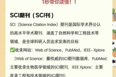 90%的学者都搞错了！论文后的字母是什么意思？揭秘学术界的隐藏密码