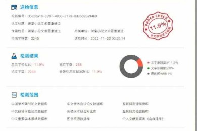 论文写作避坑指南：论文重查率什么意思？90%的学术新人都会忽略的关键指标