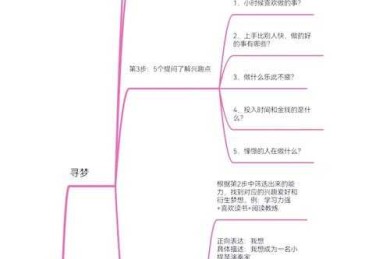 从理论到实践：如何系统化构建你的梦想实现路径研究