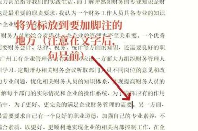 从混乱到有序：学术论文尾注替换的实战指南