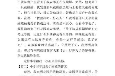 论文段落间的蝴蝶效应：一段改写如何颠覆整篇文章？