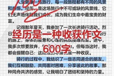 意外收获：揭秘 vlog写论文注意什么 的学术革命