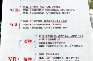 解密高分作文的基因密码：议论文的作文提纲怎么写？从入门到精通