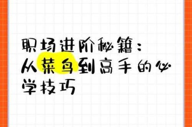 从菜鸟到高手：科研基本功的系统训练方法论