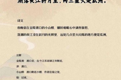 不只是背诗，是学论证：我是这样把《唐诗三百首》写成议论文素材的