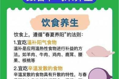 立春养生研究指南：从文献综述到数据分析，手把手教你写出优质论文