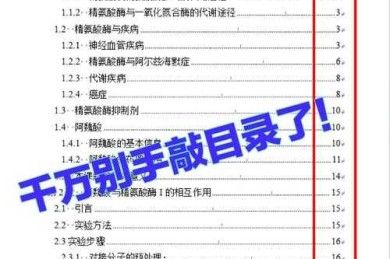 别再手动敲目录了！如何生成论文目录wps：学术写作效率翻倍的秘密武器