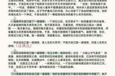 别再无效堆砌论点！学术老鸟带你拆解“议论文如何展开有效论证”的核心密码