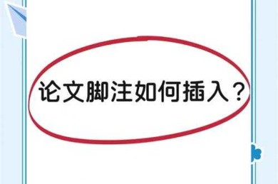 论文救命指南：当你在电脑前抓狂时，终于搞懂了「写论文什么时候加脚注」！