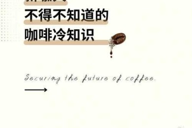 当你的咖啡凉了三次时：论文研究遇到什么困难，真的只是时间问题吗？突破这些瓶颈