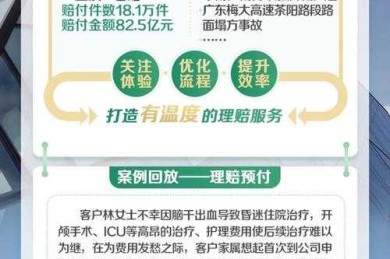 超越保单的数字密码：如何看待人寿保险论文，才能揭示真正的经济韧性？