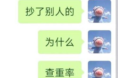 别掉进查重陷阱！南开论文查重什么软件，老司机带你避坑指南