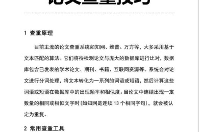 别让查重成为毕业拦路虎｜论文如何查重｜学术人自救指南