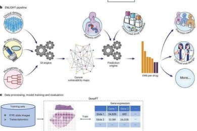 当KPI遇到SCI：深入探讨“什么公司需要论文”的战略密码