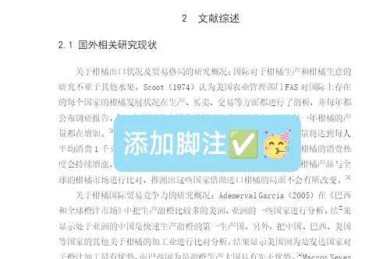 科研老司机经验谈：论文数据注释怎么标注才能让审稿人眼前一亮？