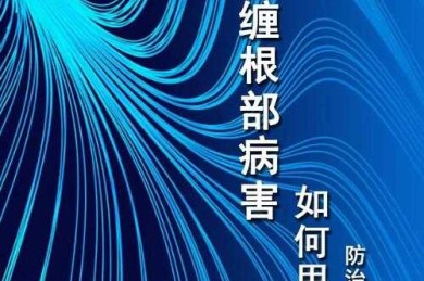 别慌！论文封面错了怎么拆掉？这份学术急救指南请收好
